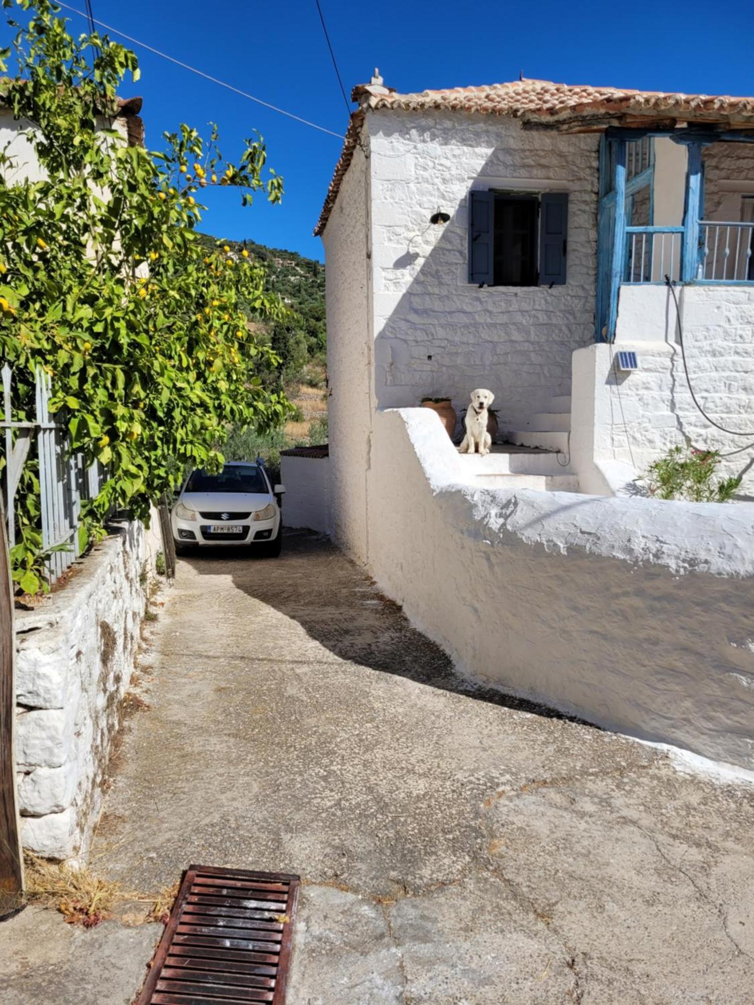 Lovely Traditionnal House With Sea View Tirós Exterior foto